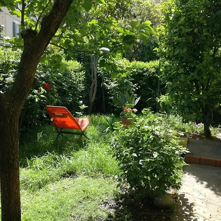 L'olivo Bed and Breakfast 3*