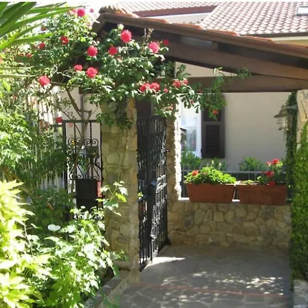 Bed & Breakfast L'olivo
