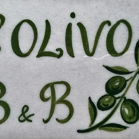 L'olivo 3*