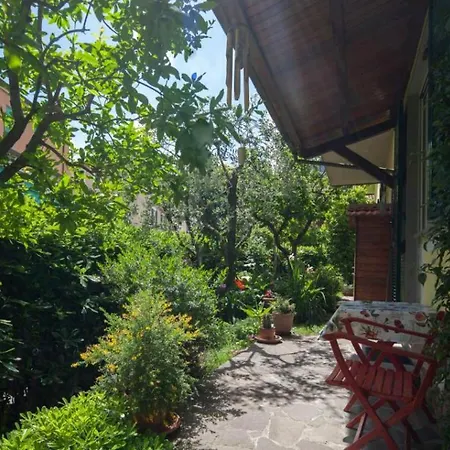 Bed and Breakfast L'olivo