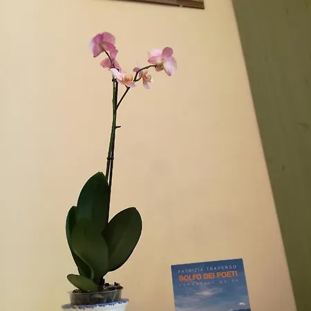 L'olivo 3* Λα Σπέτσια