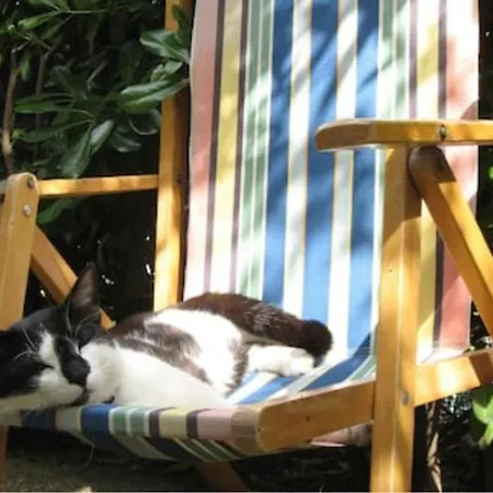 L'olivo Bed & Breakfast