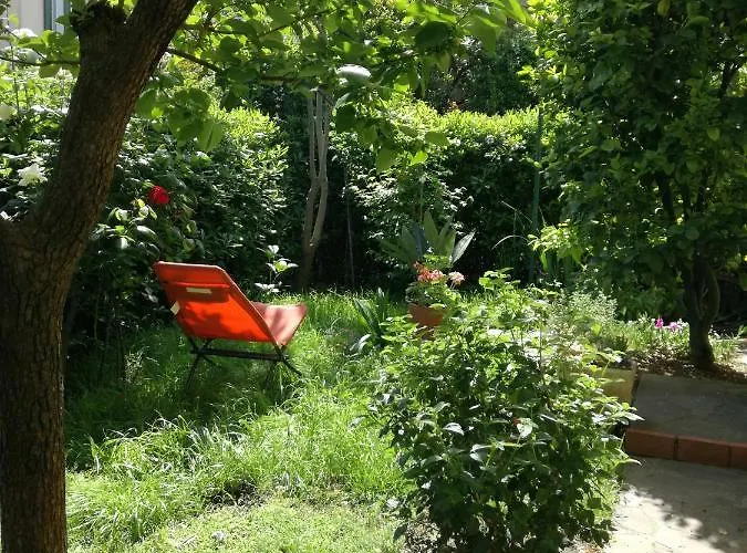 L'olivo לינה וארוחת בוקר 3*