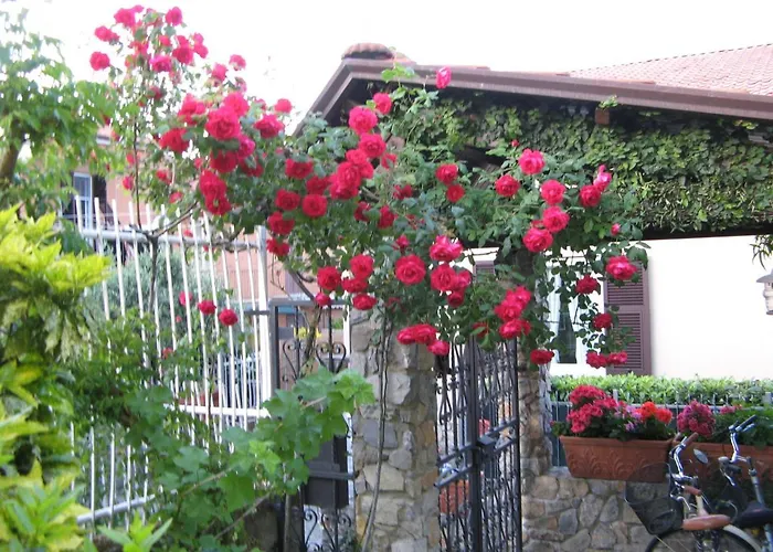 L'olivo 3* לה ספציה